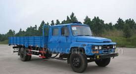 楚風(fēng)雙排汽油教練車(chē)